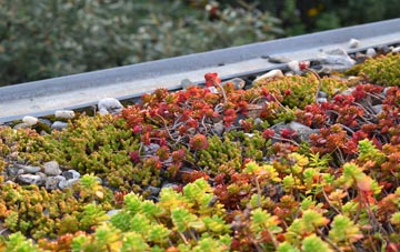 the cost of Portessie green roof installation