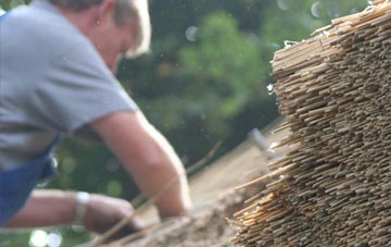 professional Portessie thatchers