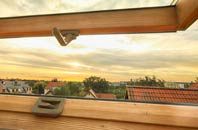 rated Portessie roof window companies